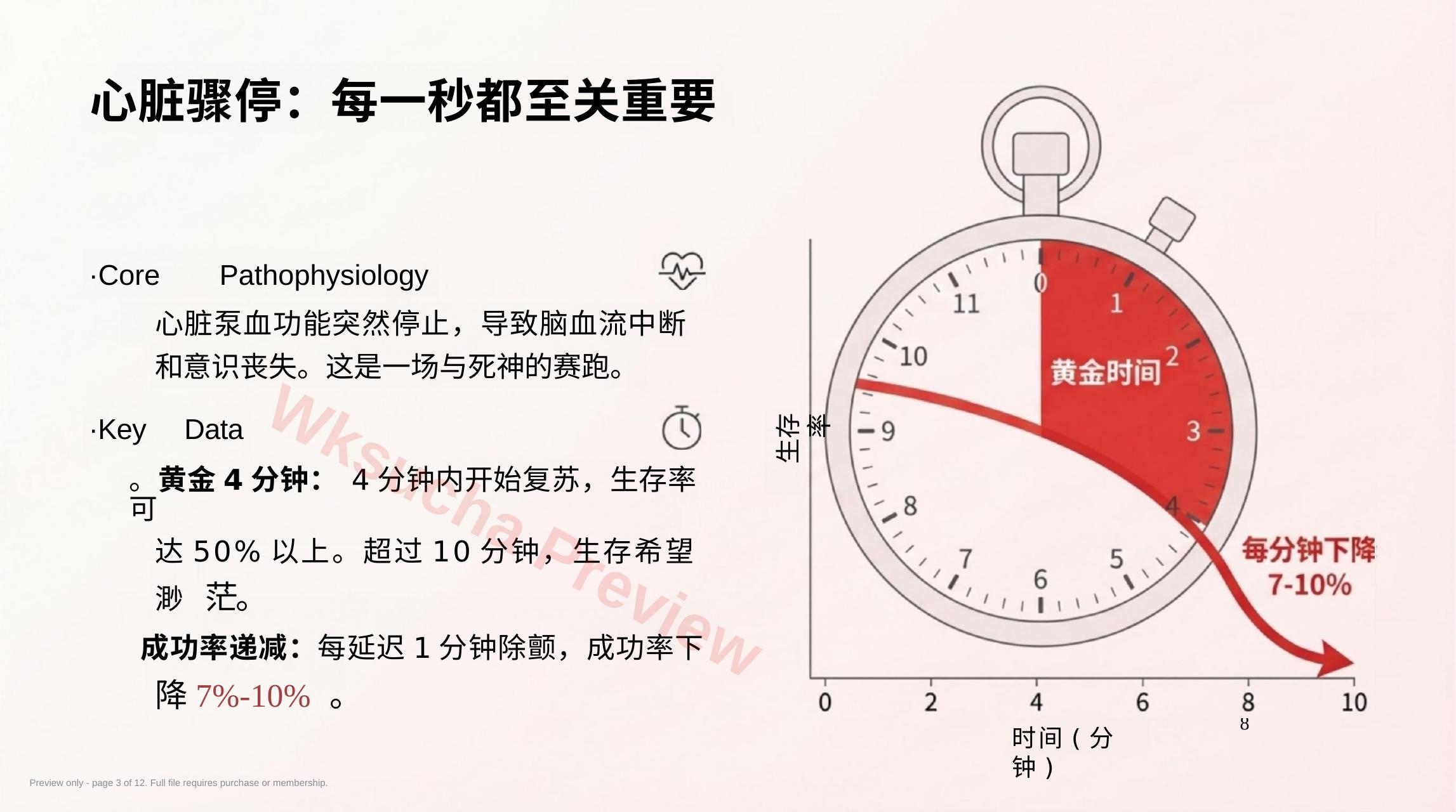 预览第 3 页