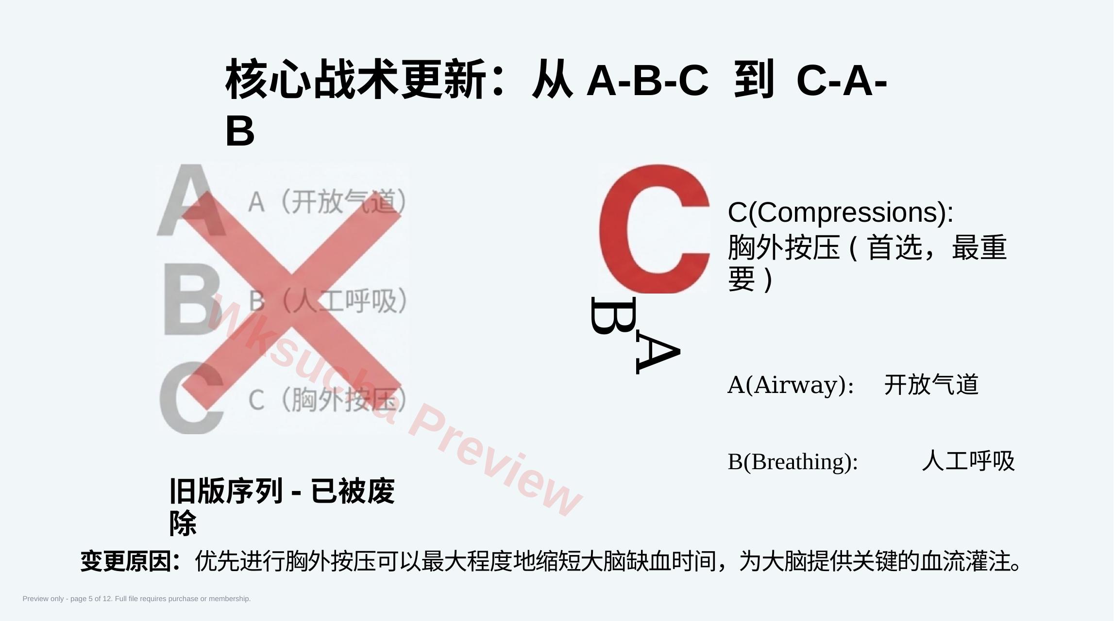 预览第 5 页