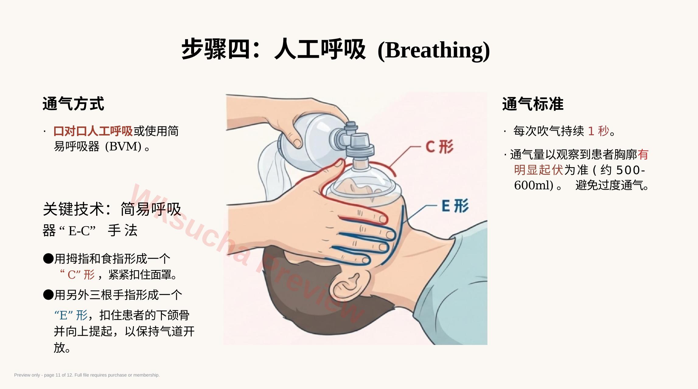 预览第 11 页