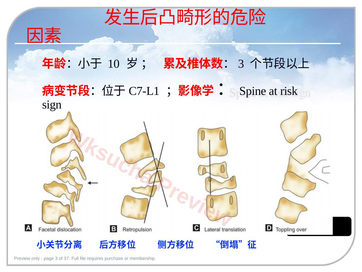 预览第 3 页