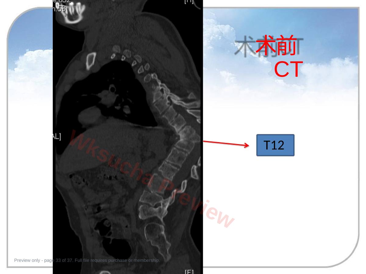 预览第 33 页