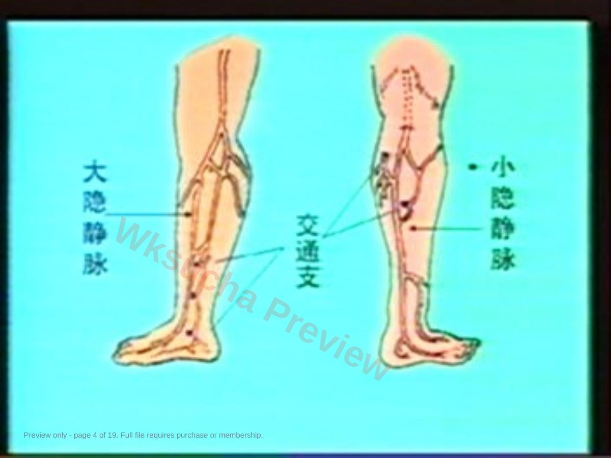 预览第 4 页