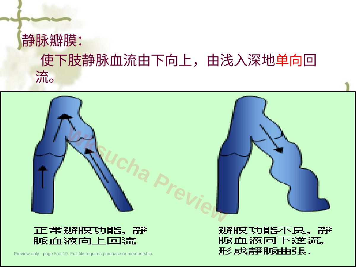 预览第 5 页