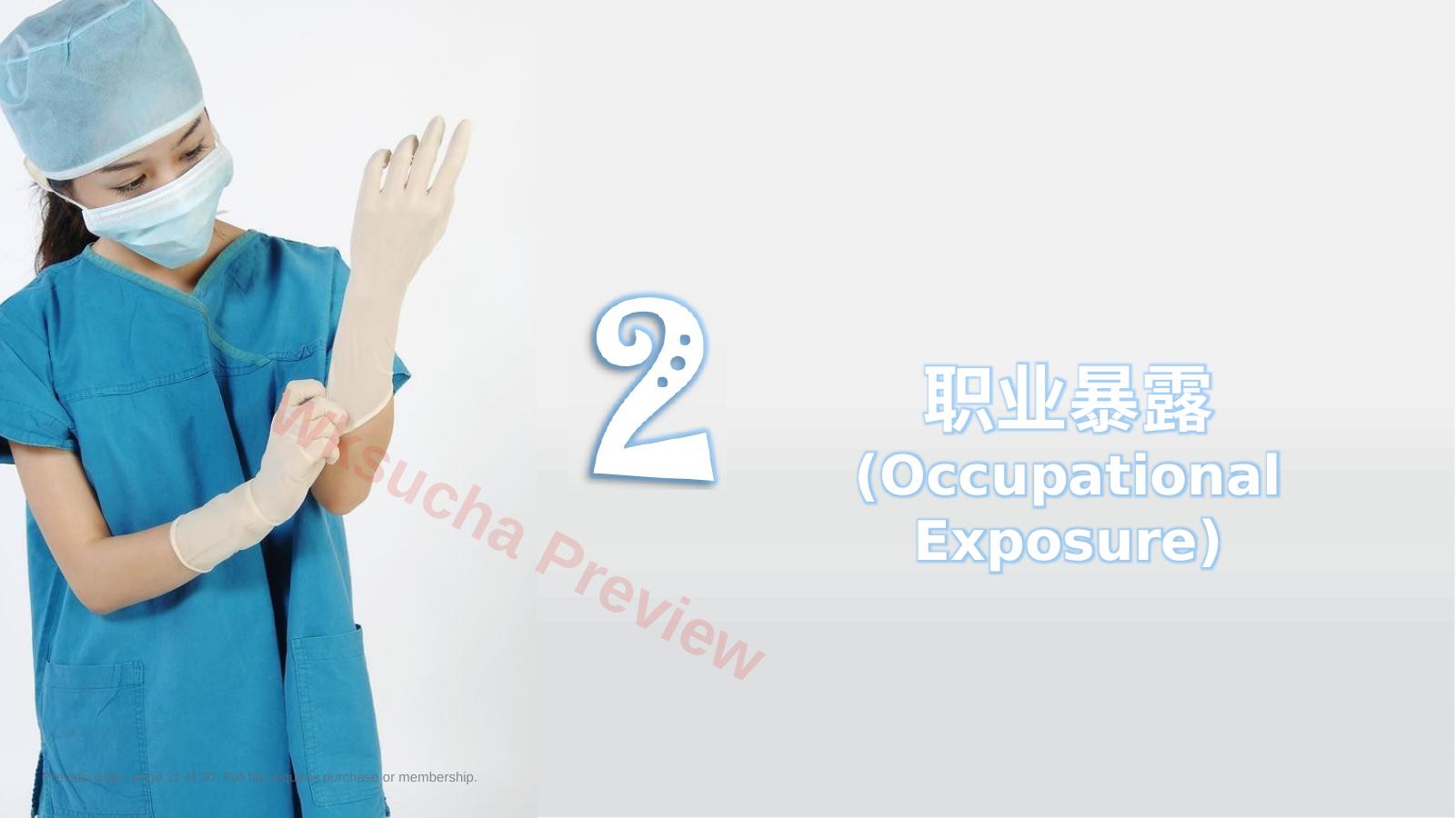 预览第 21 页