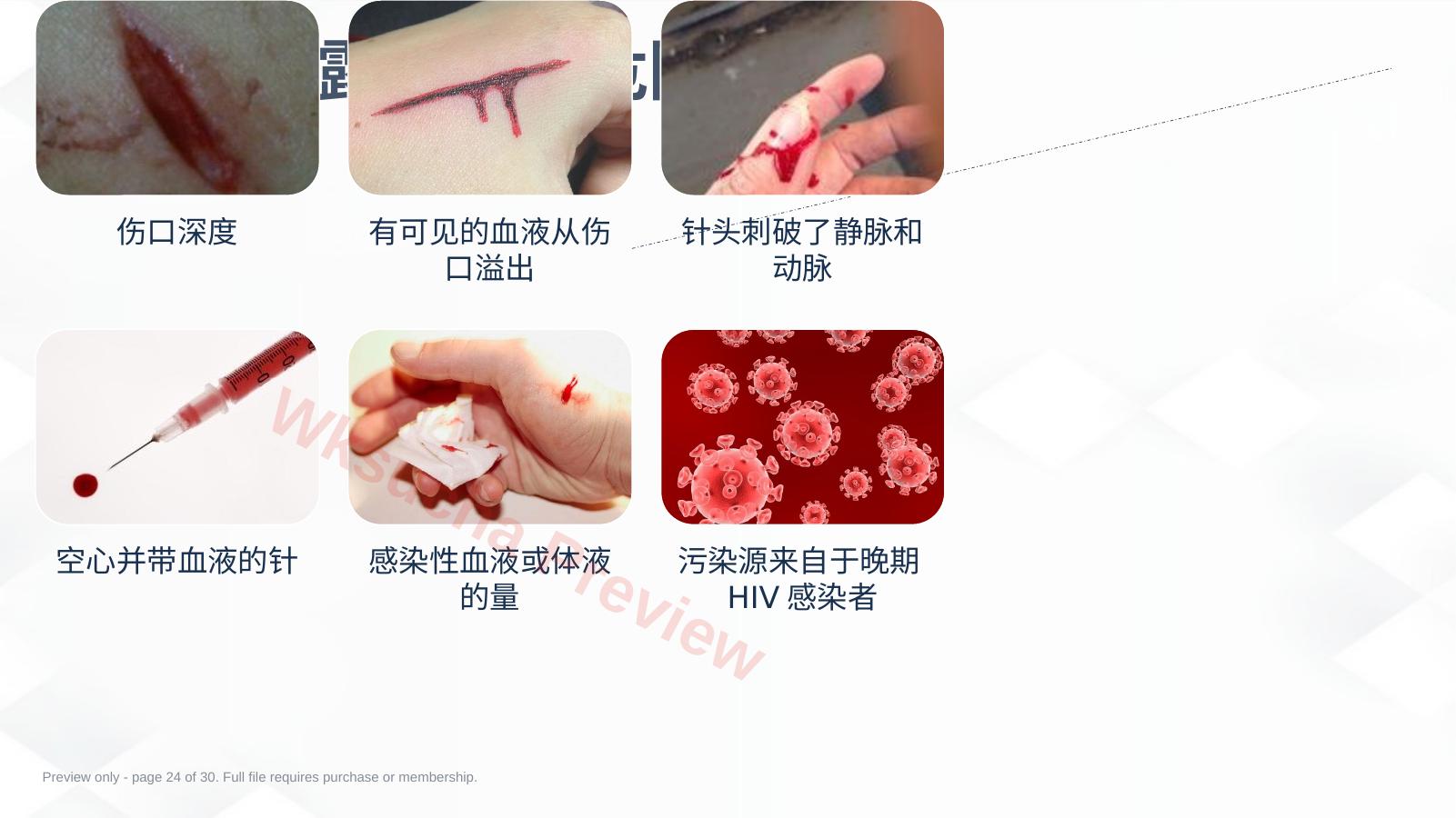 预览第 24 页