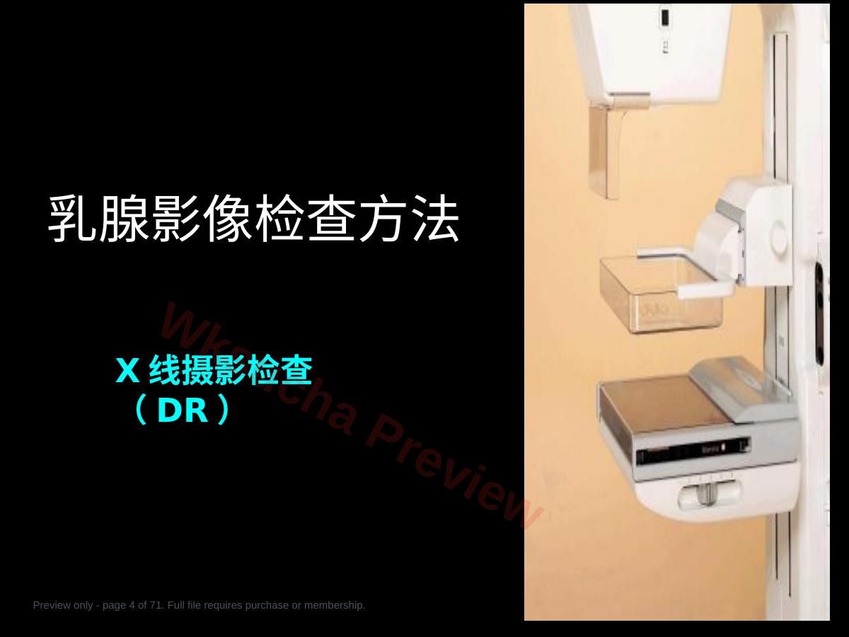 预览第 4 页