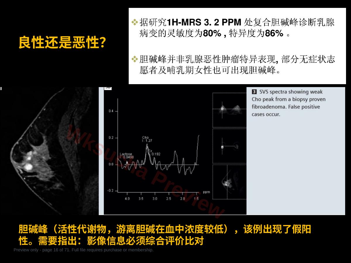 预览第 16 页