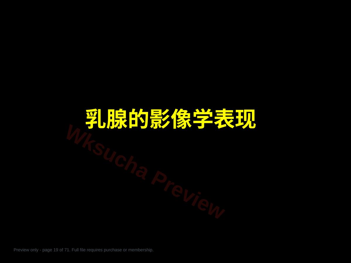 预览第 19 页