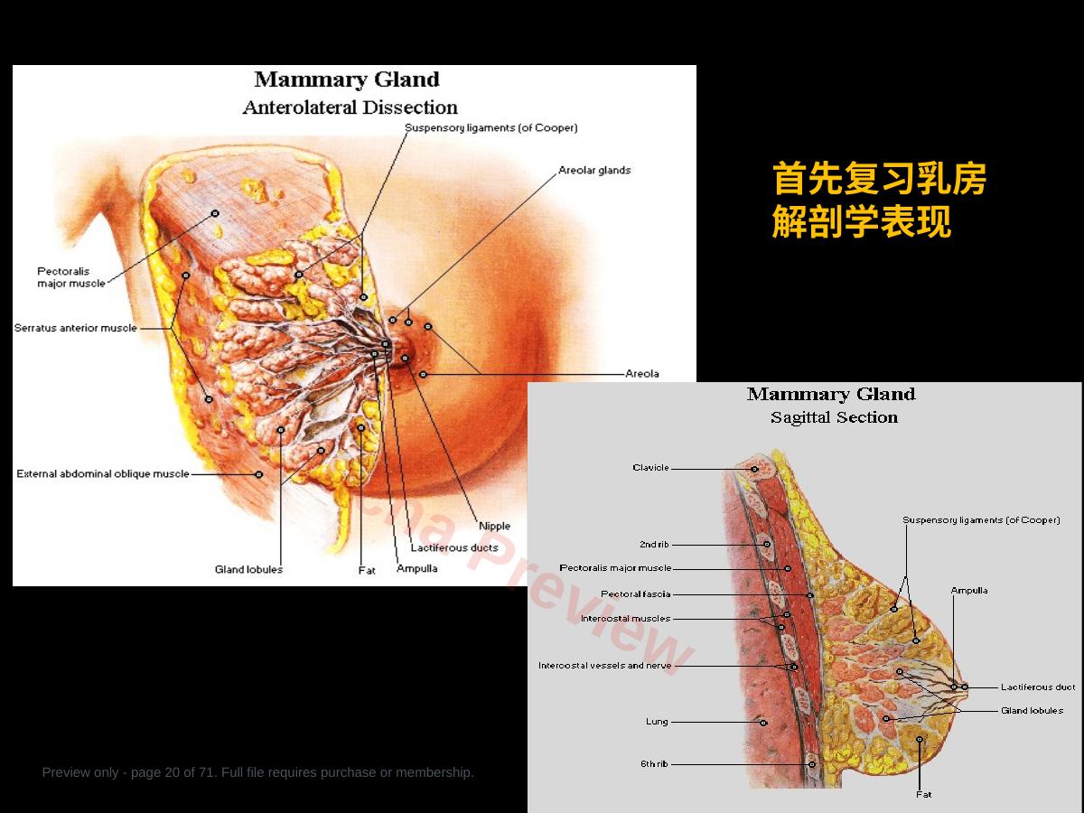预览第 20 页