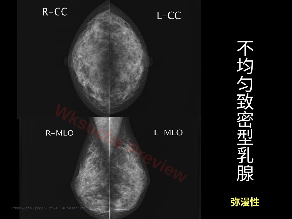 预览第 28 页