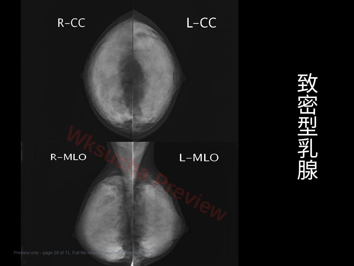 预览第 29 页