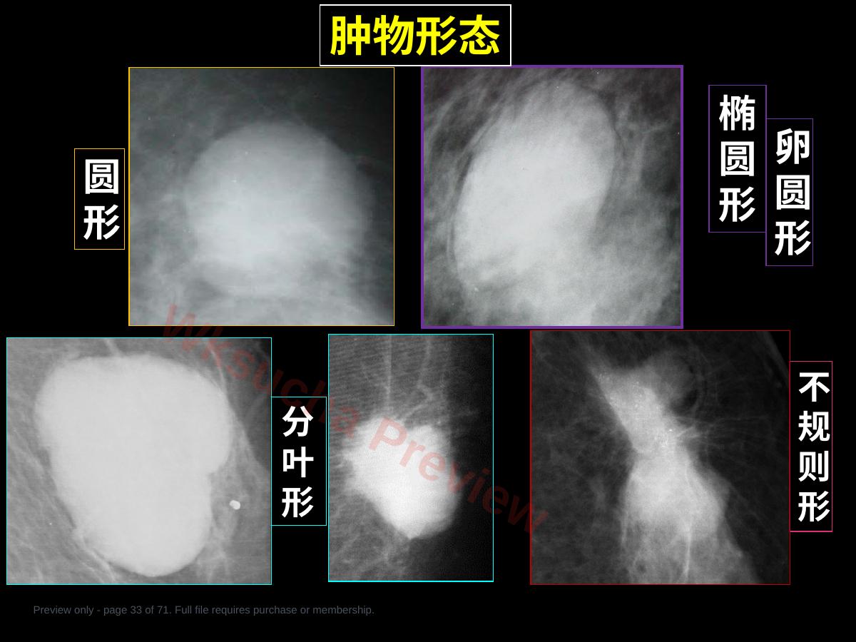 预览第 33 页