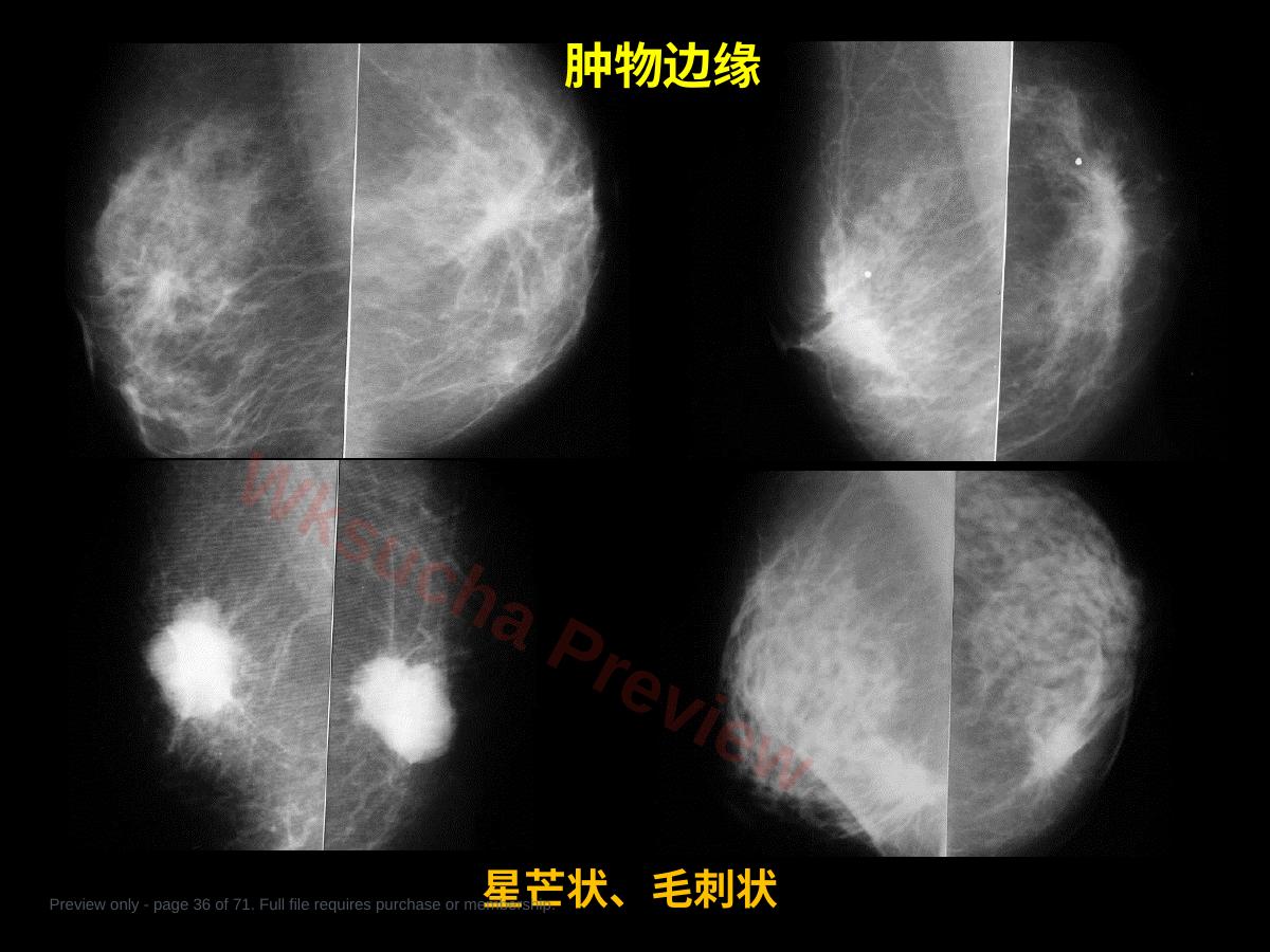 预览第 36 页