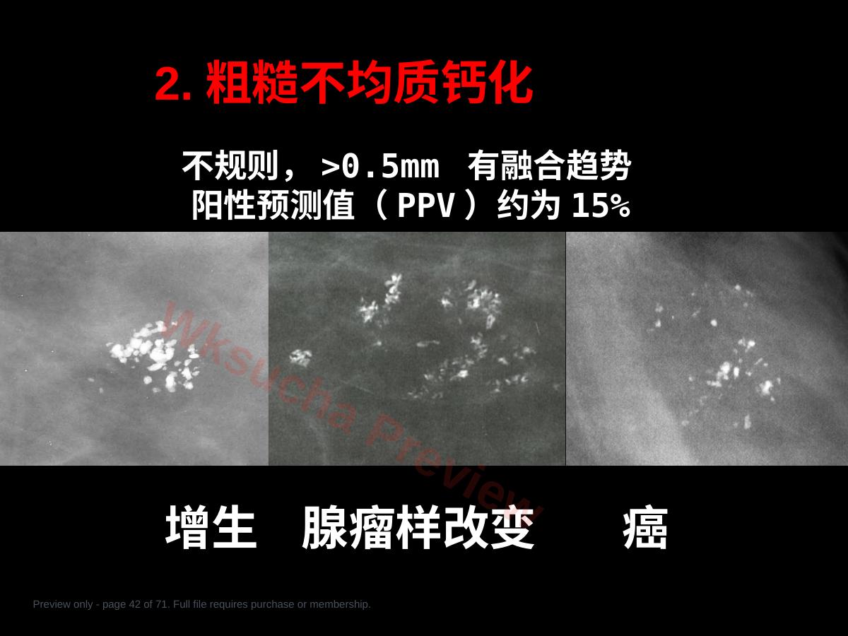 预览第 42 页