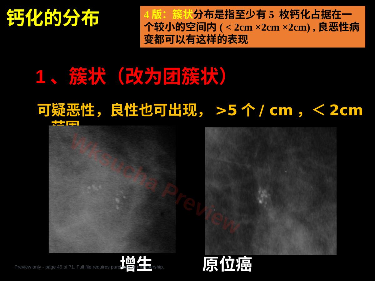 预览第 45 页