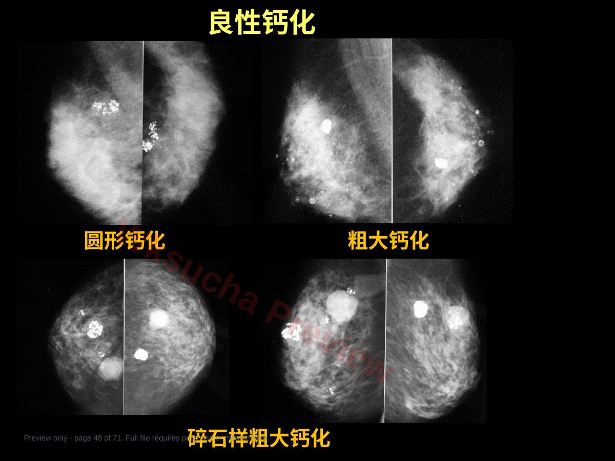 预览第 48 页