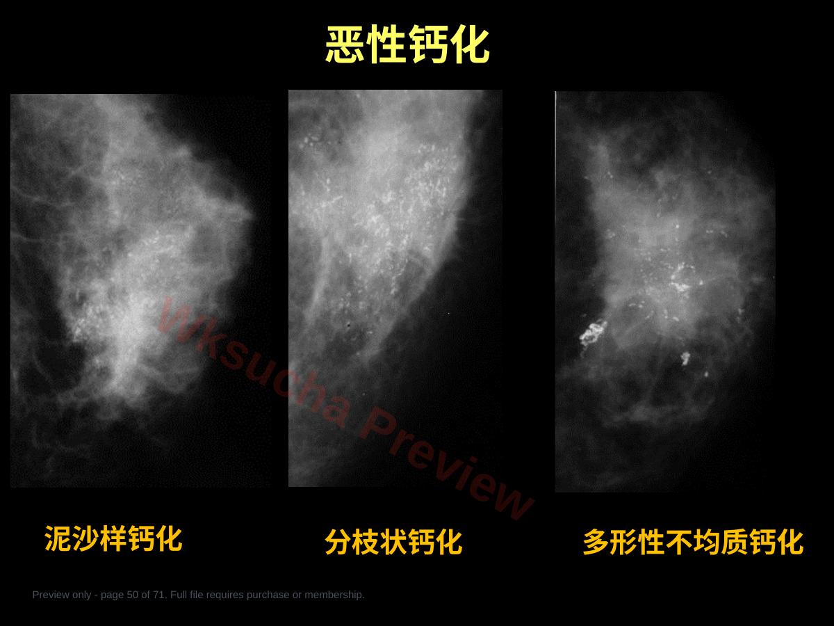预览第 50 页