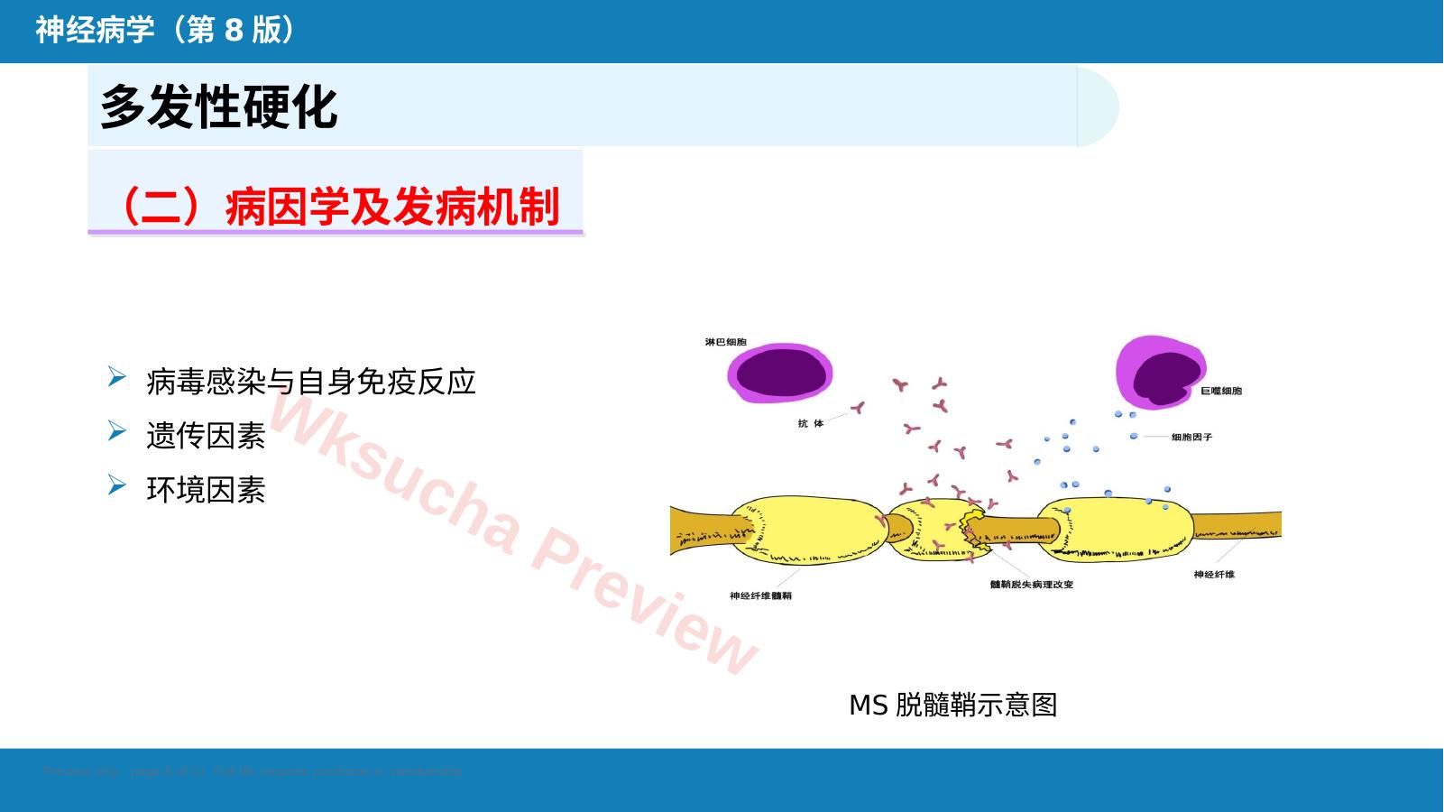 预览第 5 页