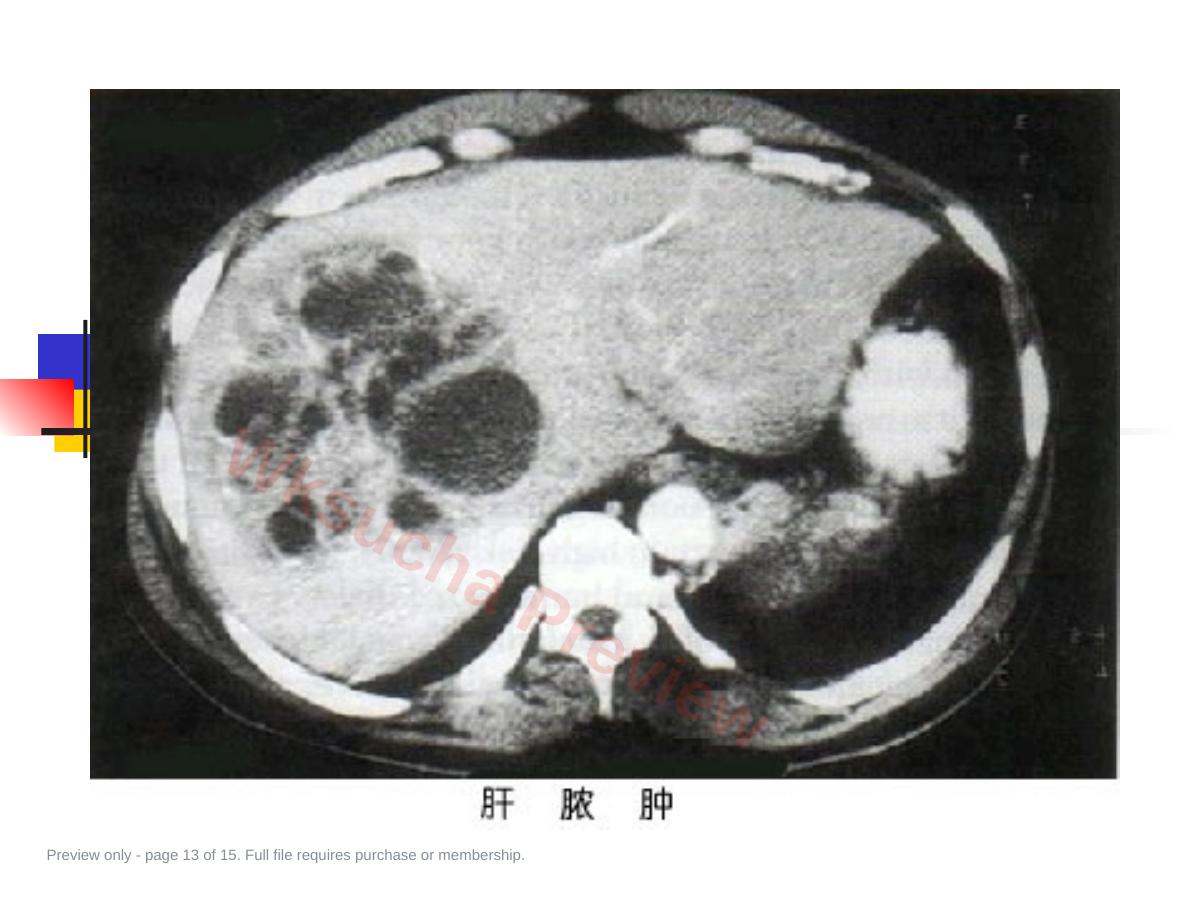 预览第 13 页