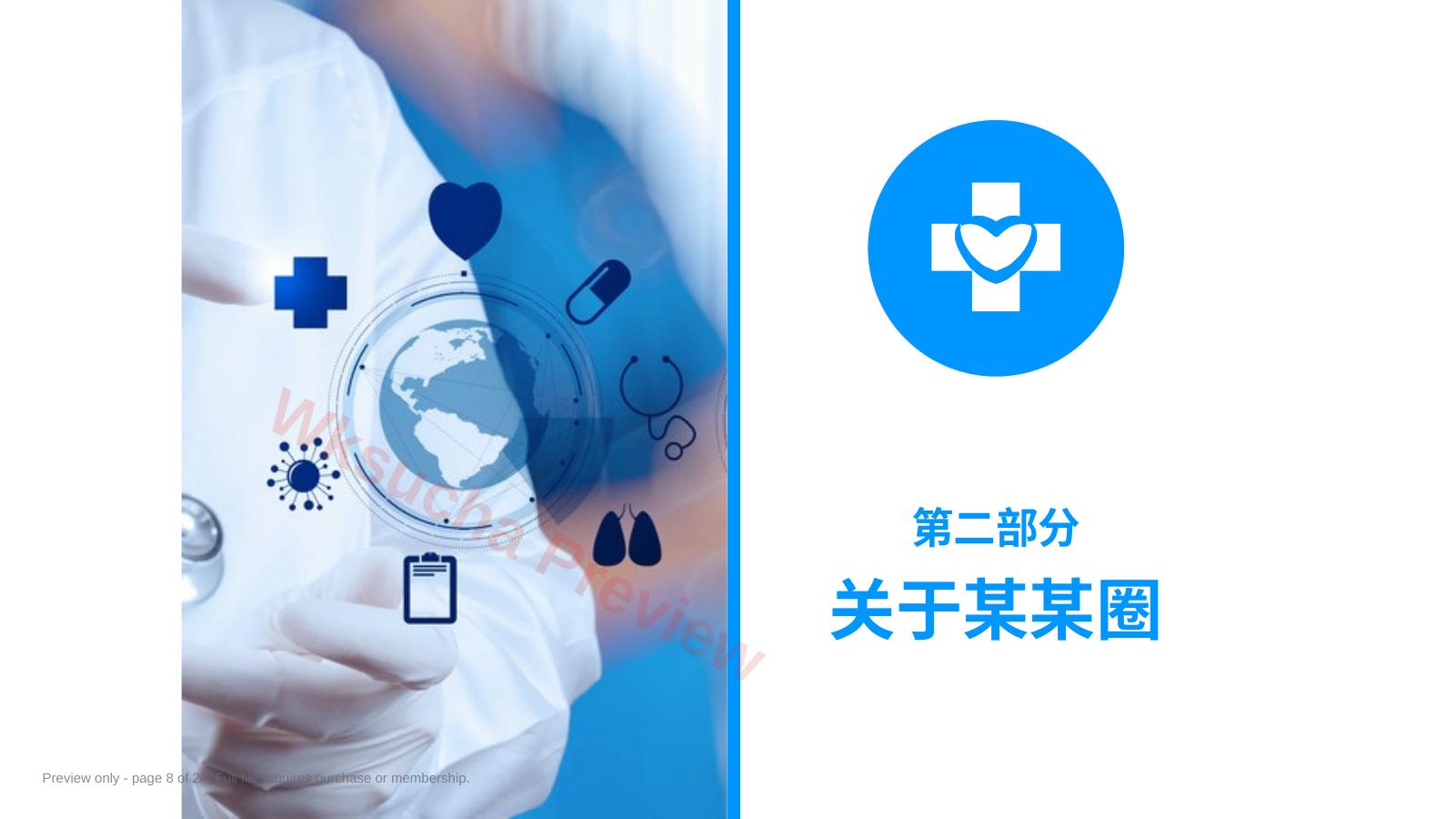 预览第 8 页