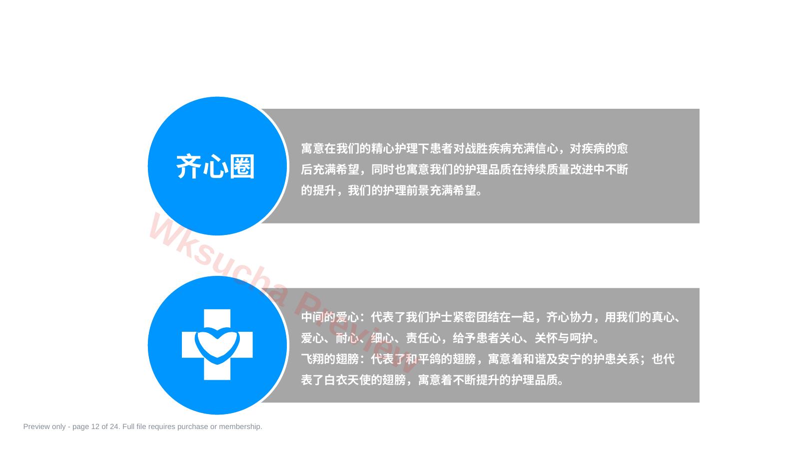 预览第 12 页
