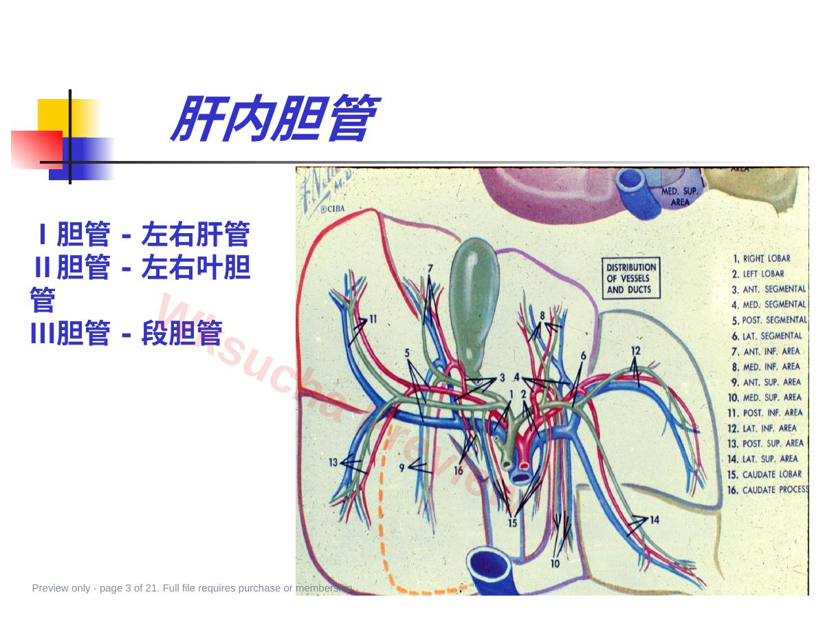 预览第 3 页