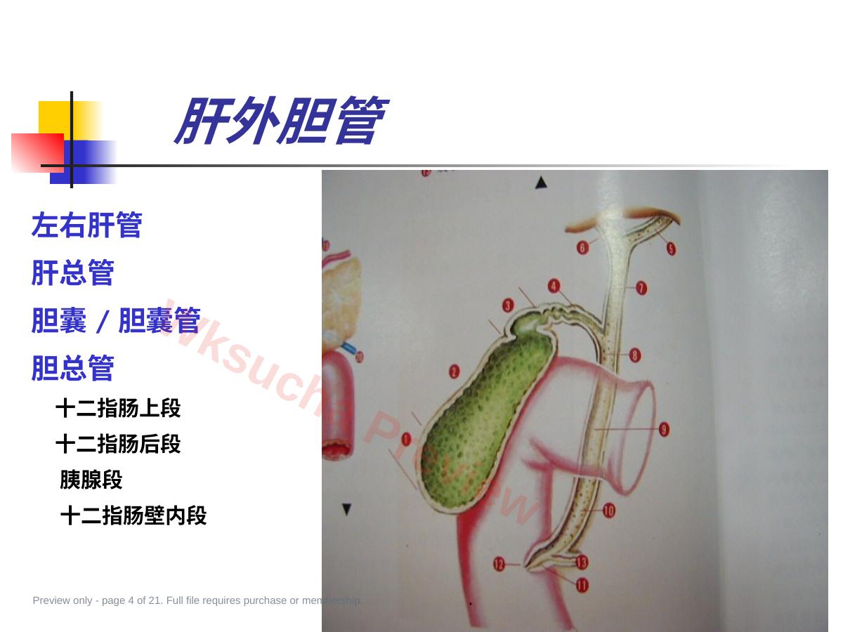 预览第 4 页