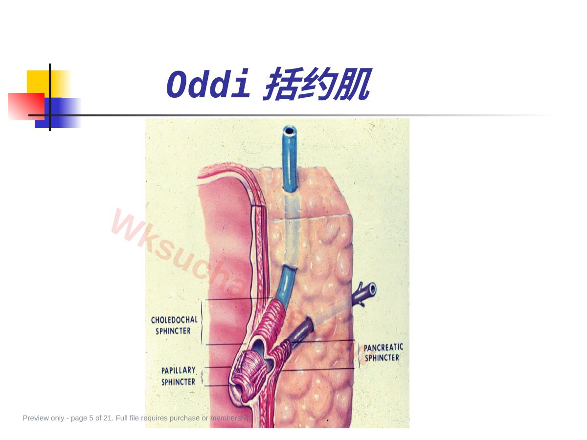 预览第 5 页