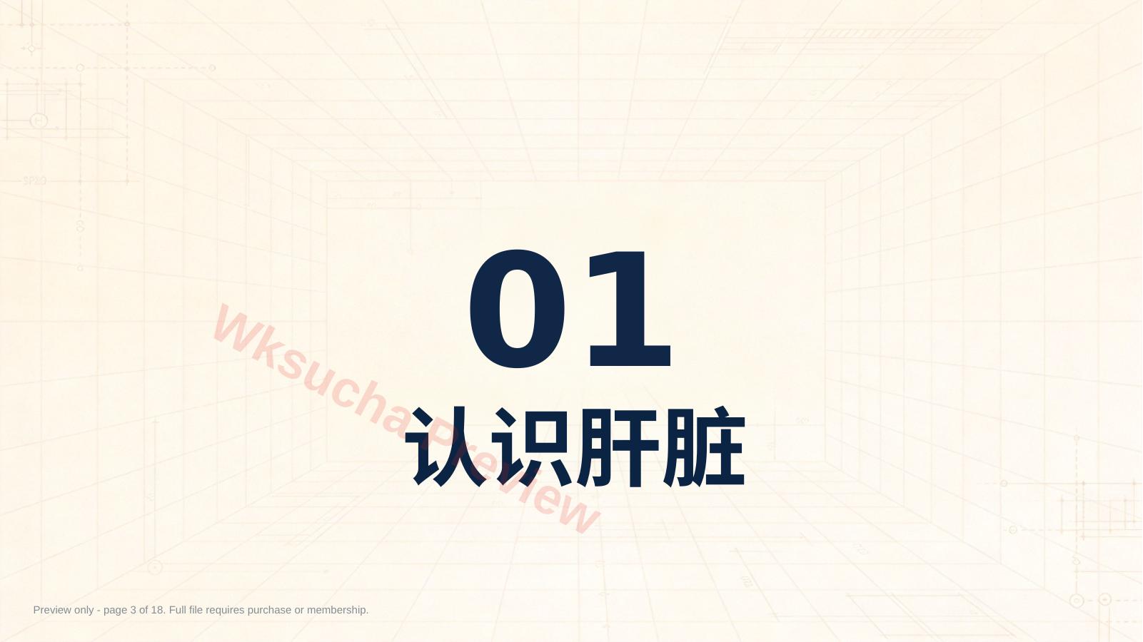 预览第 3 页