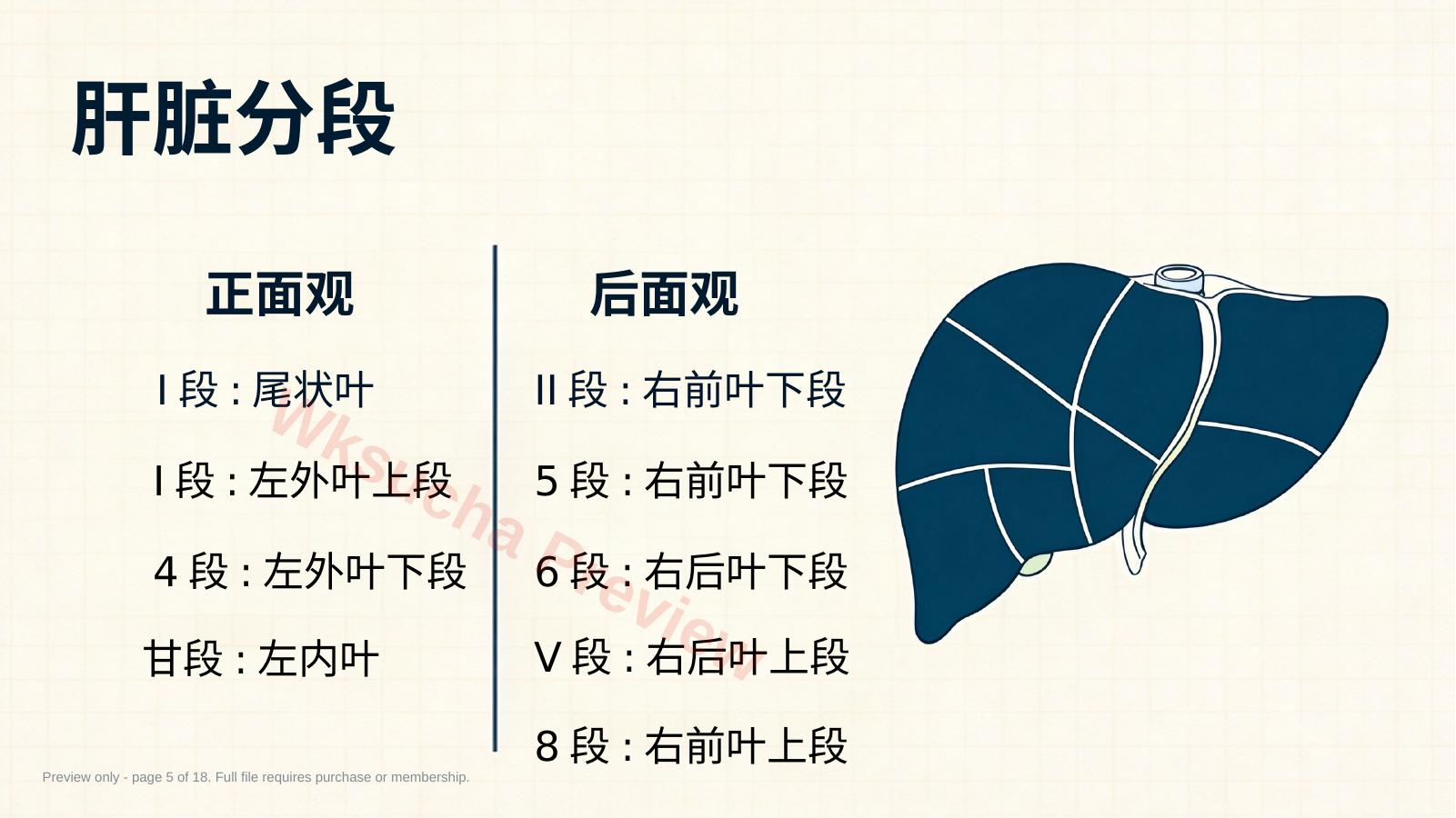 预览第 5 页