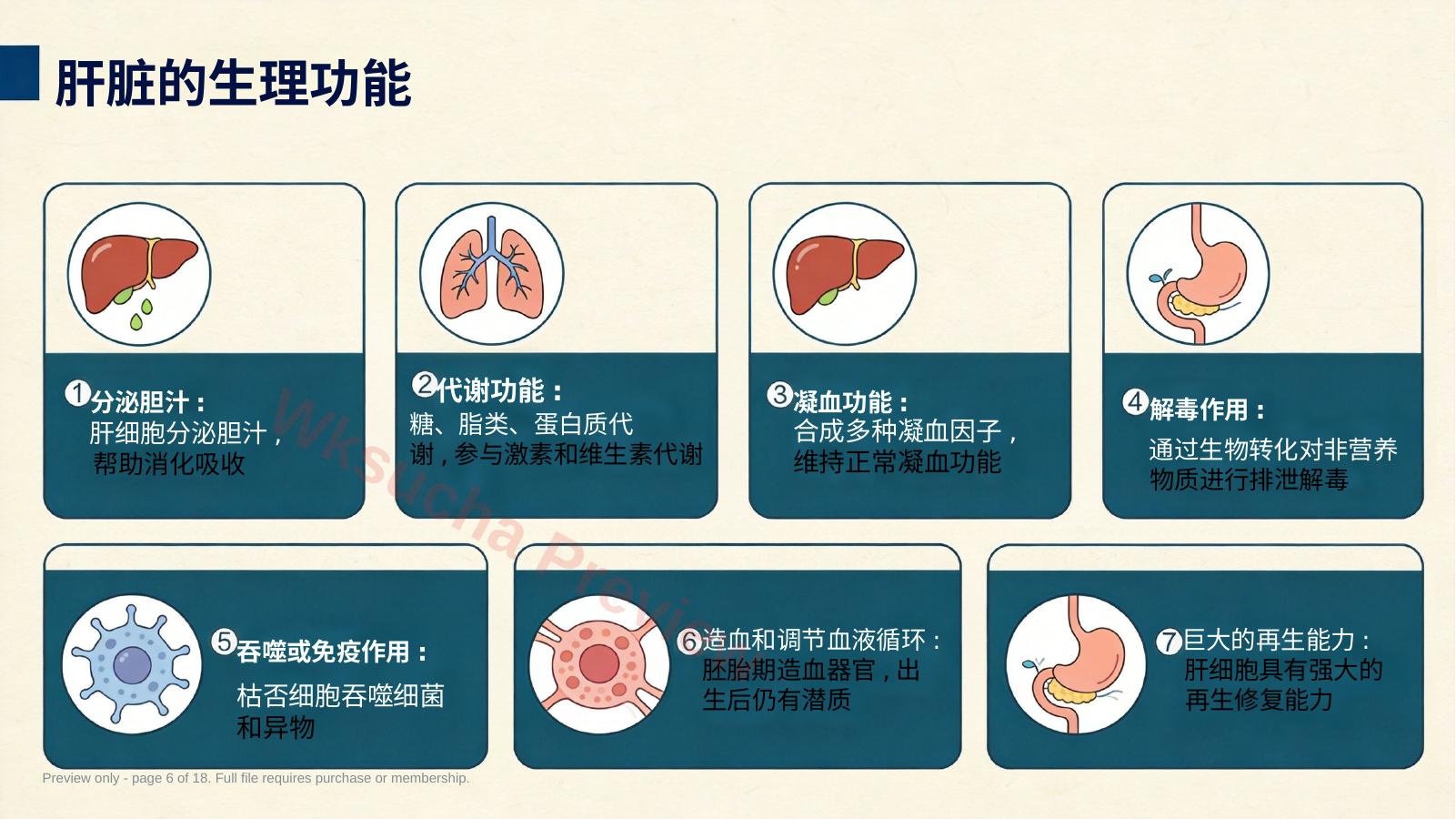 预览第 6 页