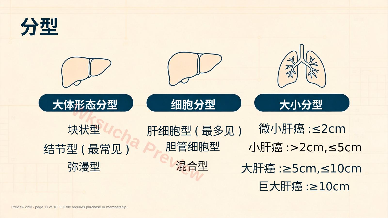 预览第 11 页