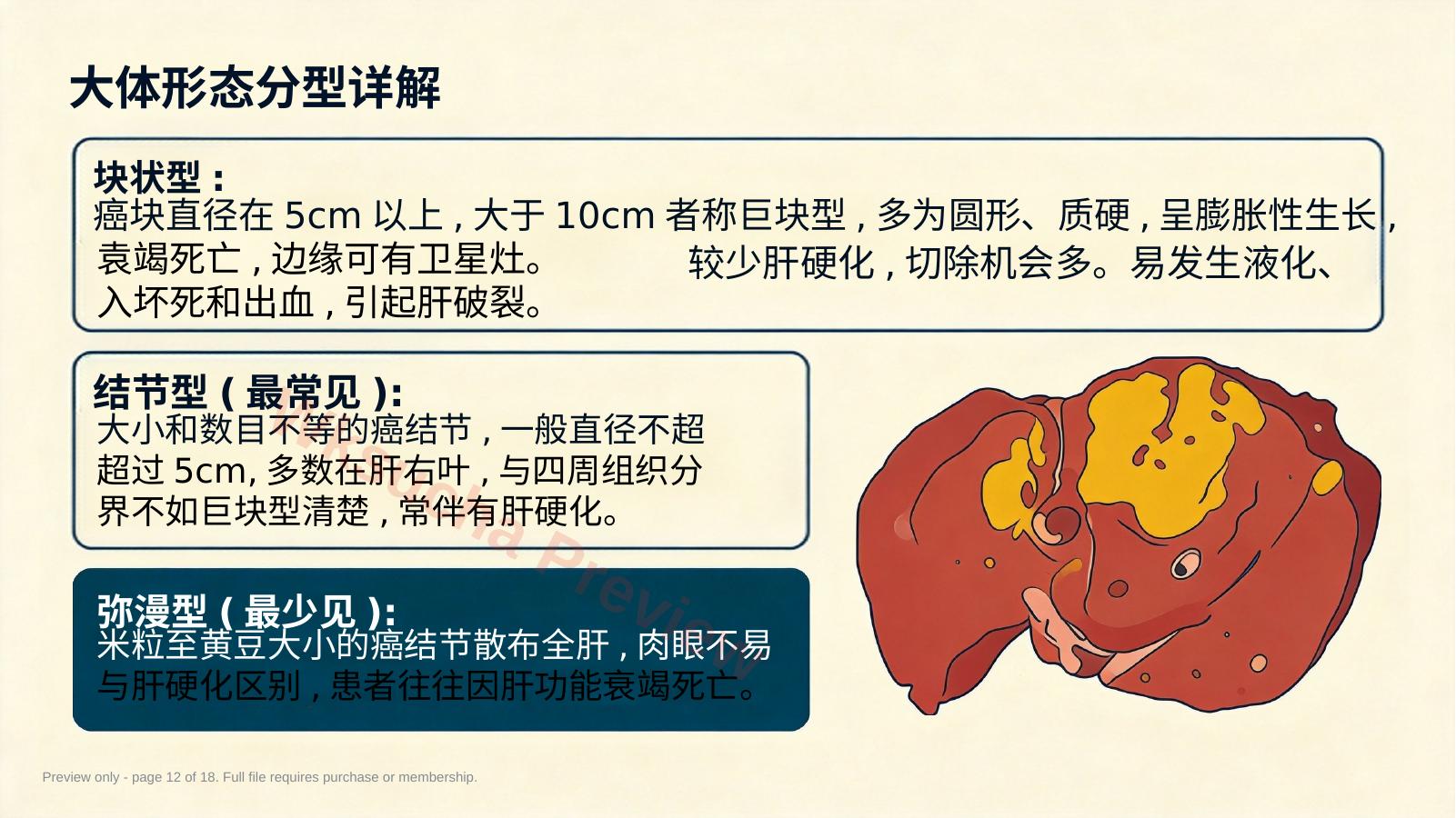 预览第 12 页