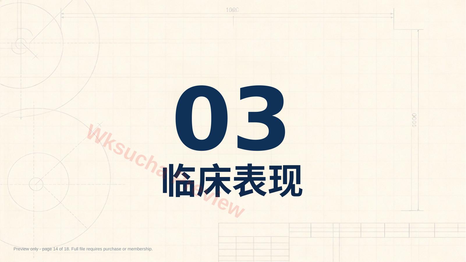 预览第 14 页