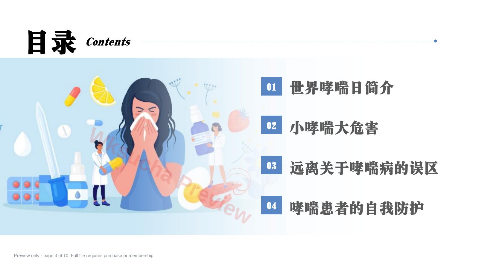 预览第 3 页