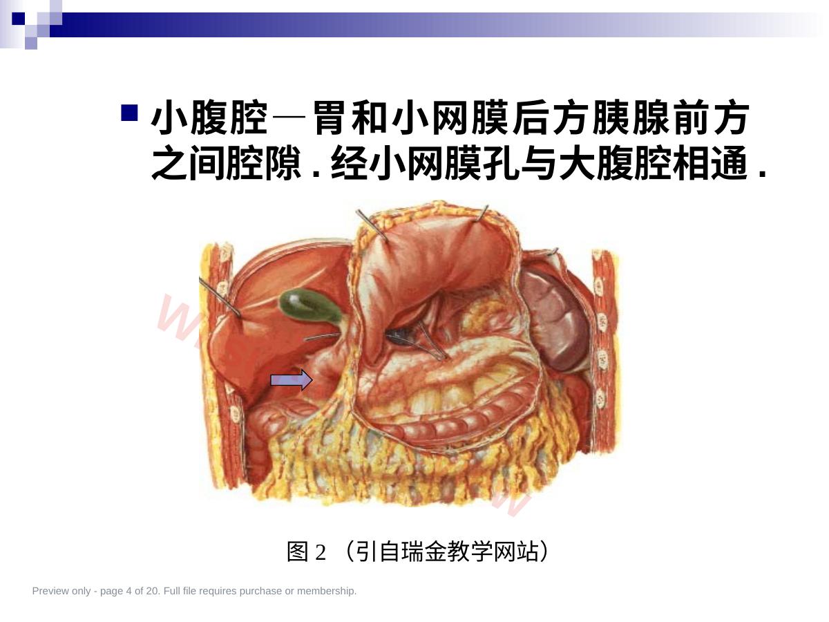 预览第 4 页