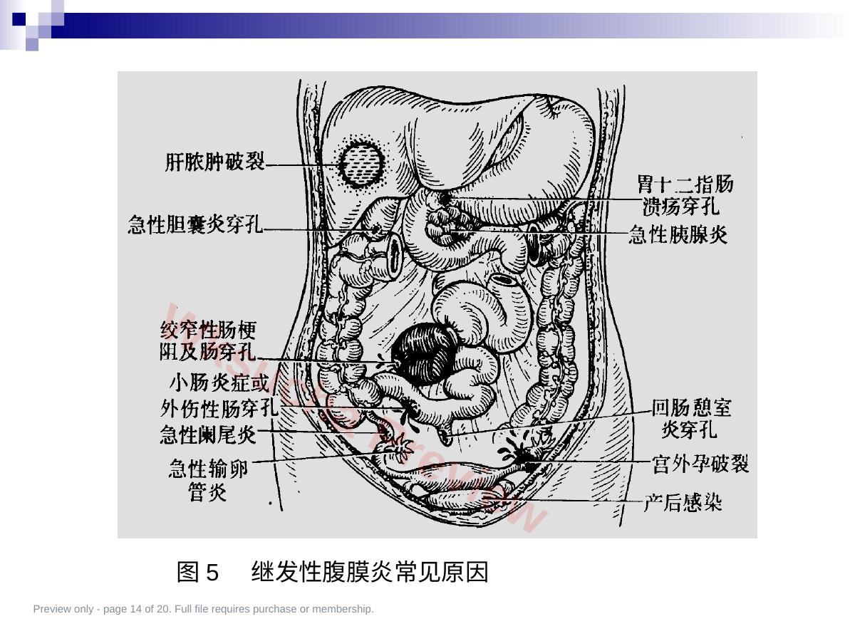 预览第 14 页