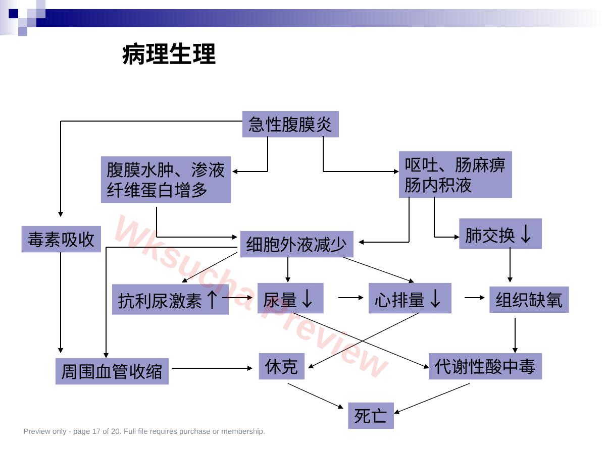 预览第 17 页