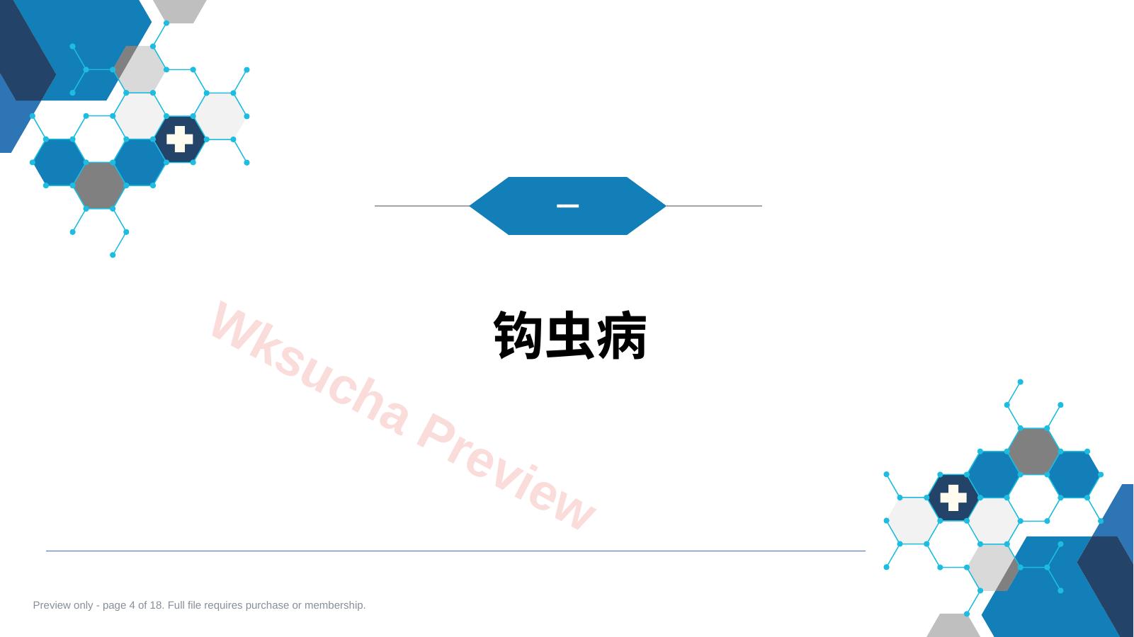 预览第 4 页