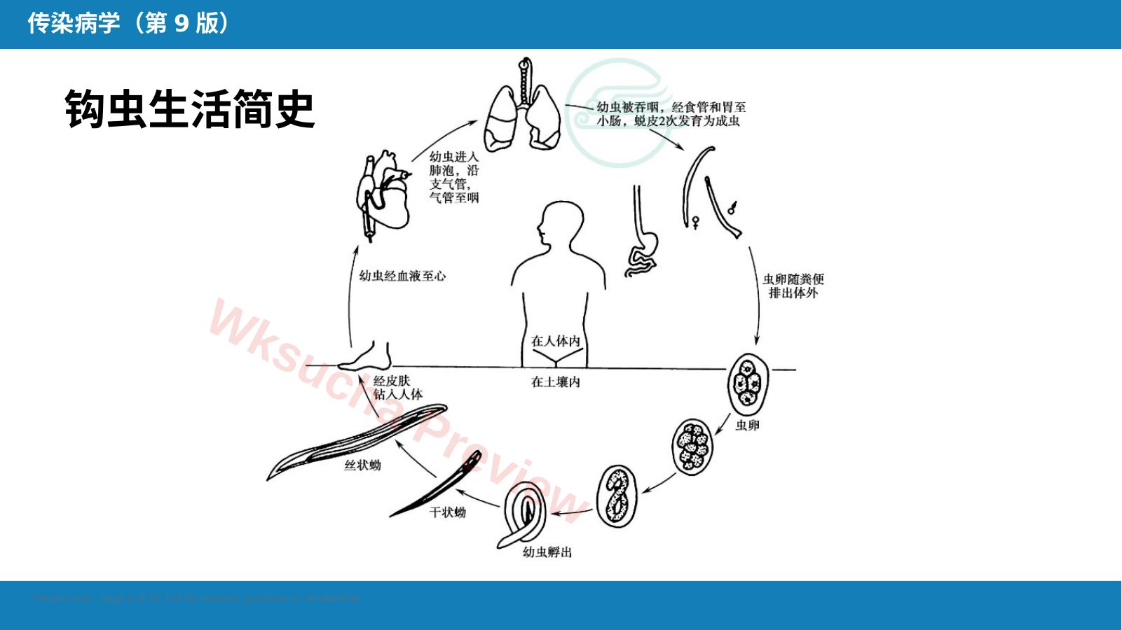 预览第 8 页
