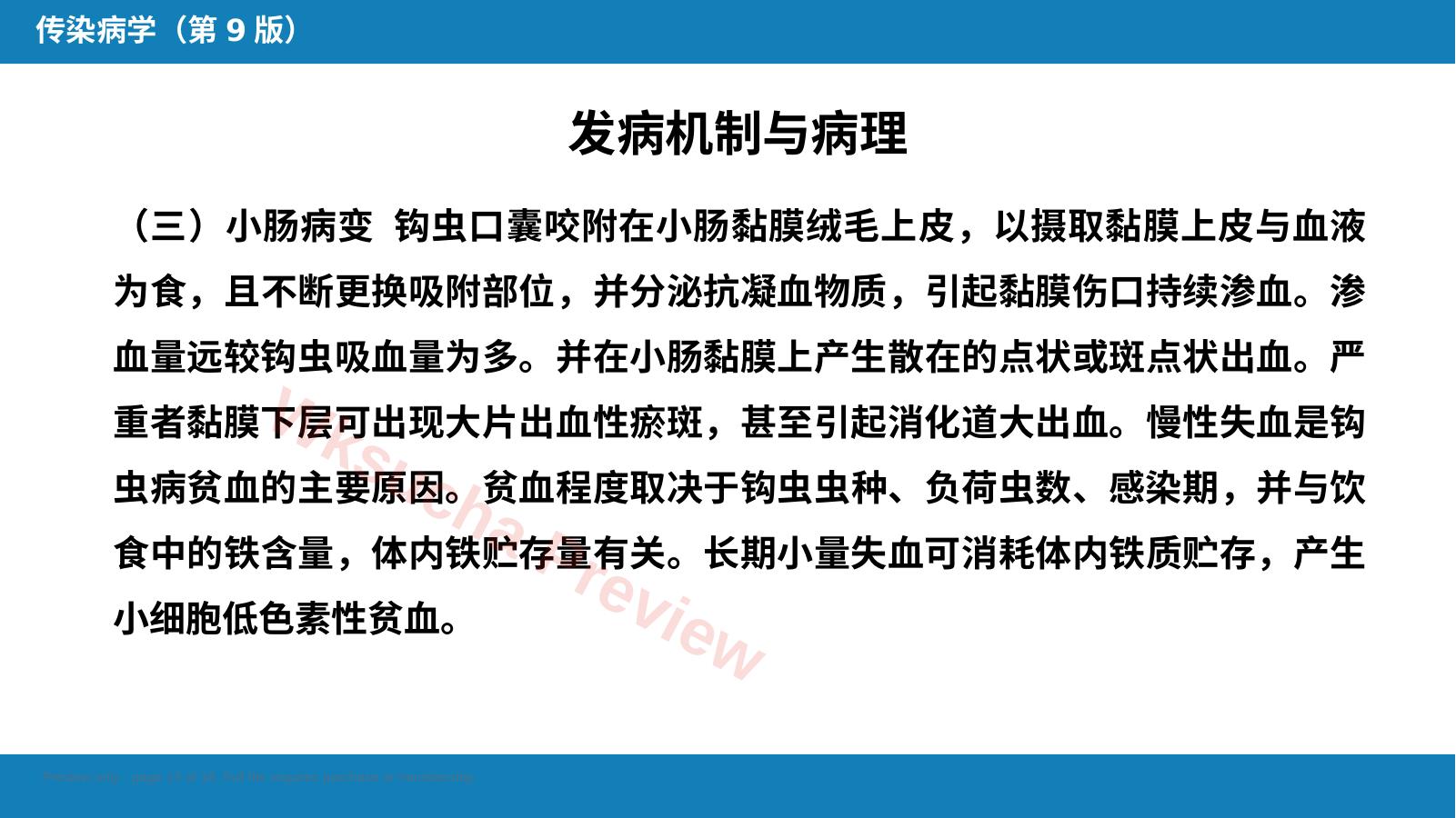 预览第 13 页