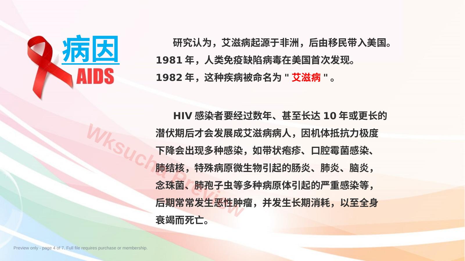 预览第 4 页