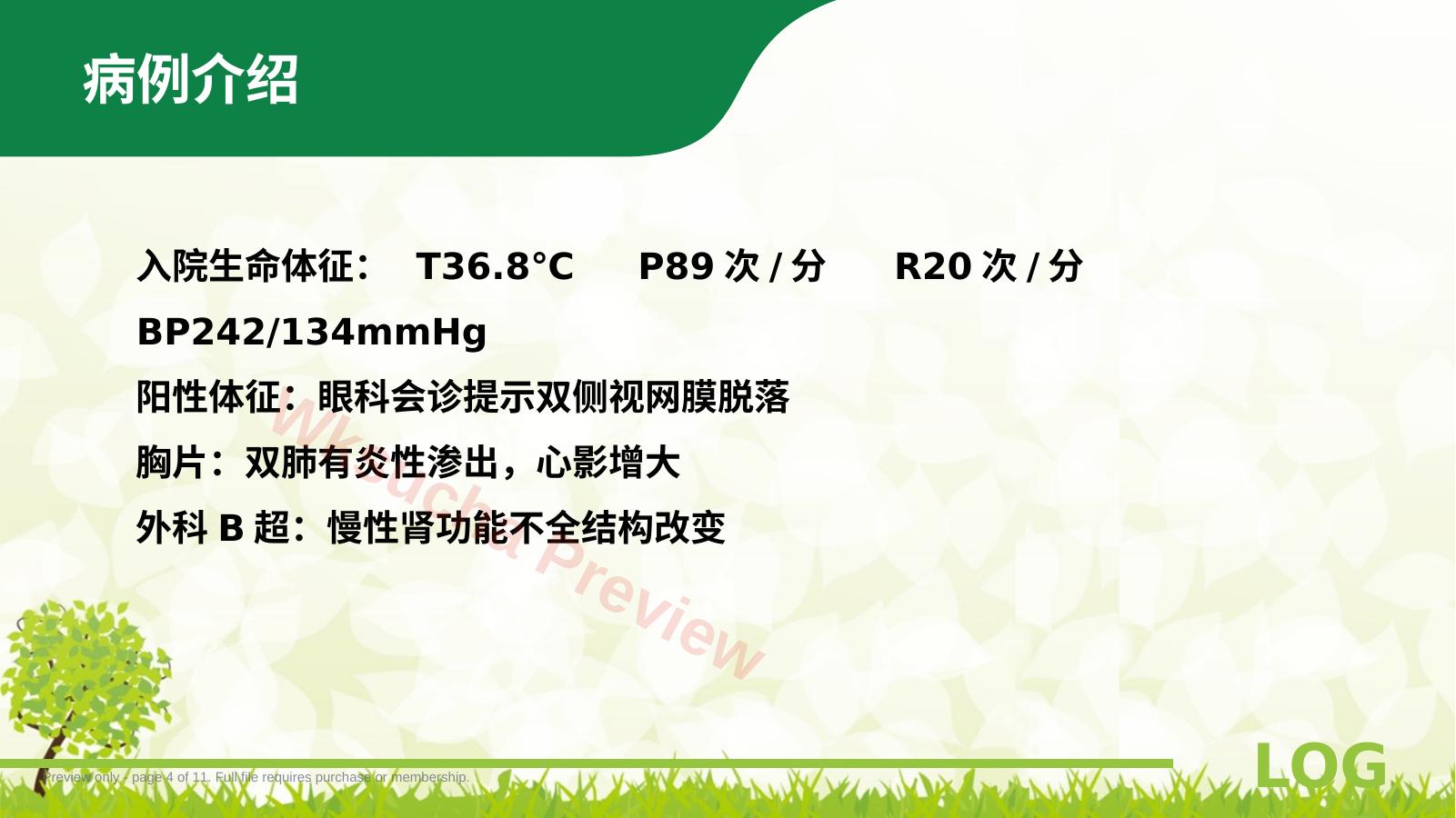 预览第 4 页