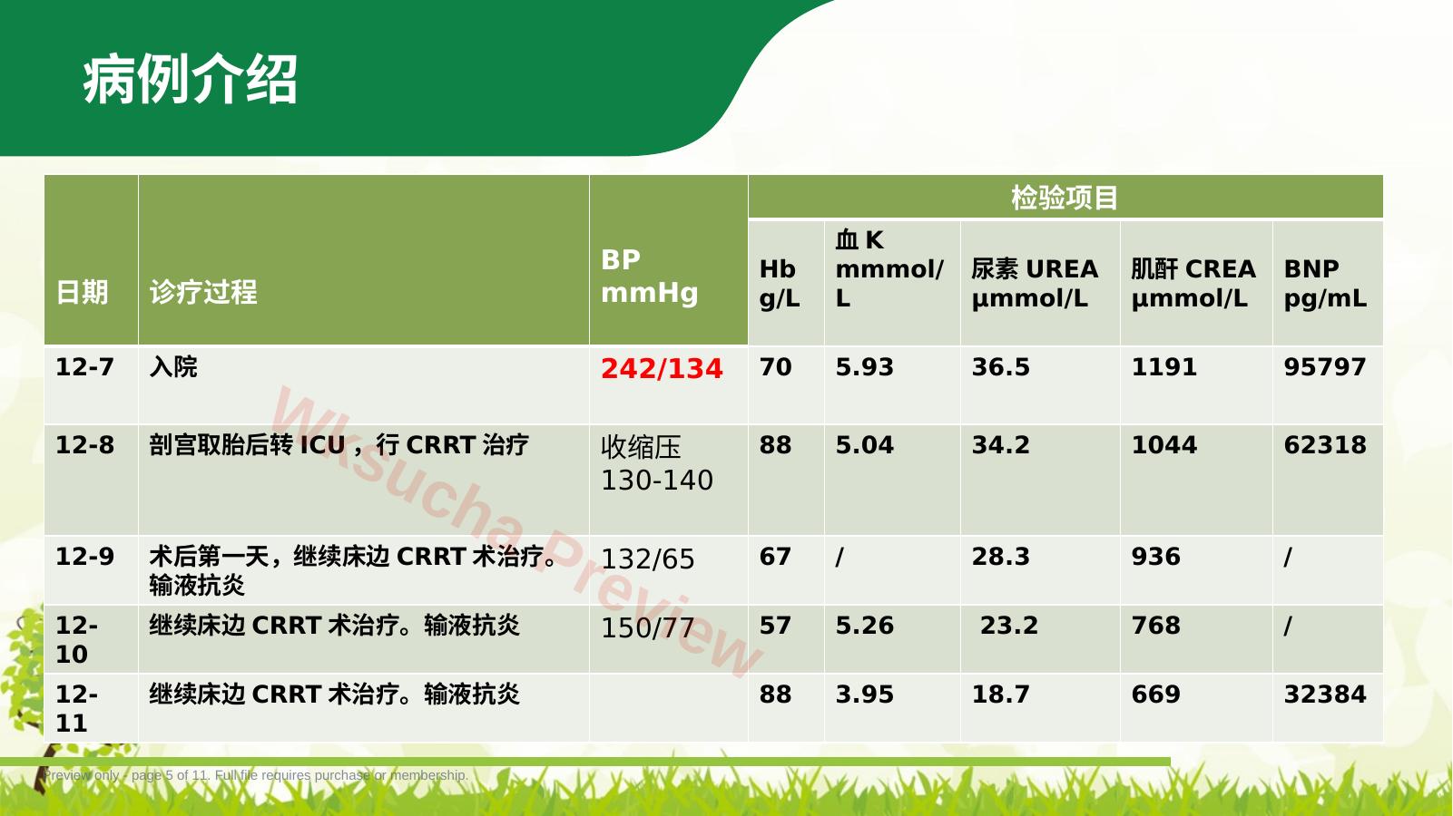 预览第 5 页