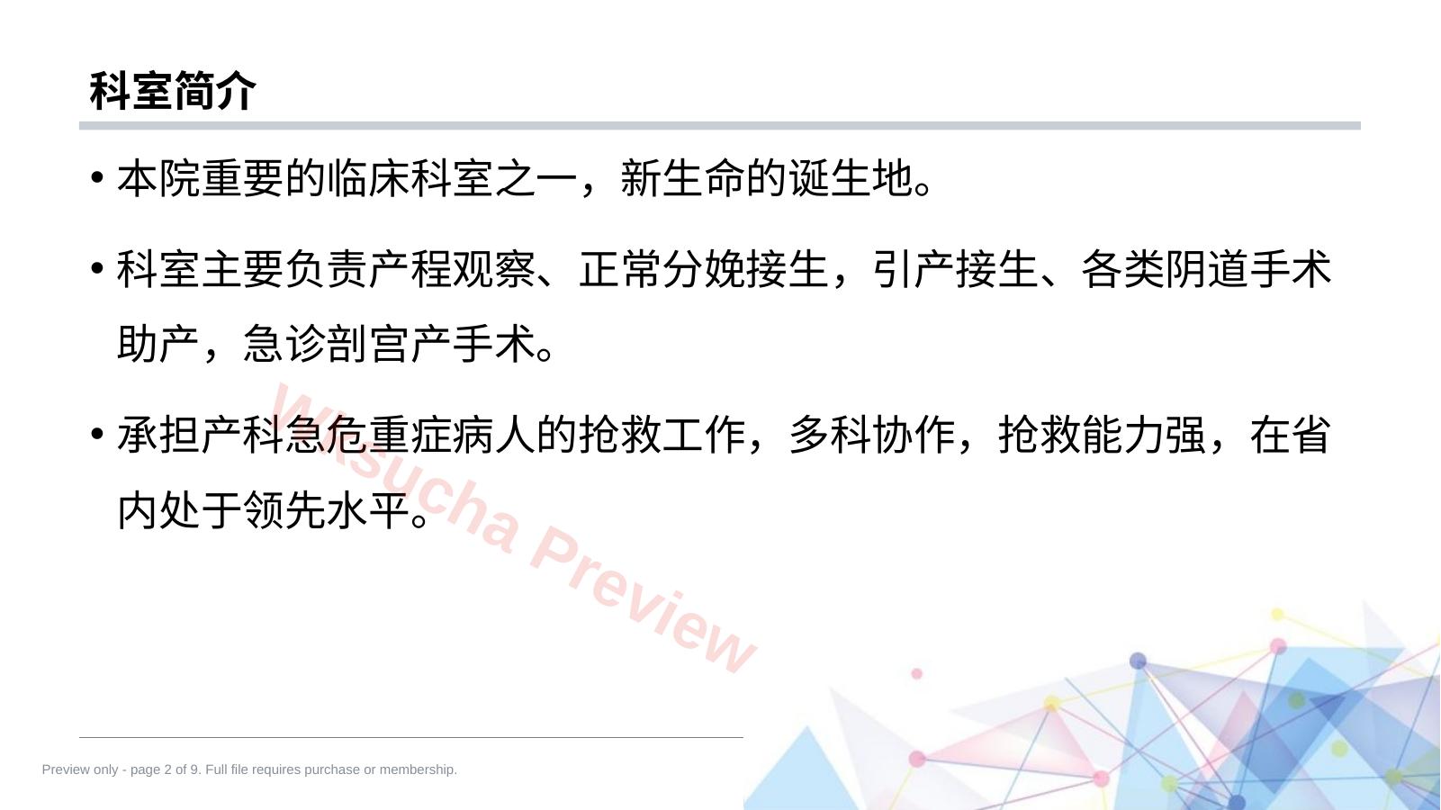 预览第 2 页