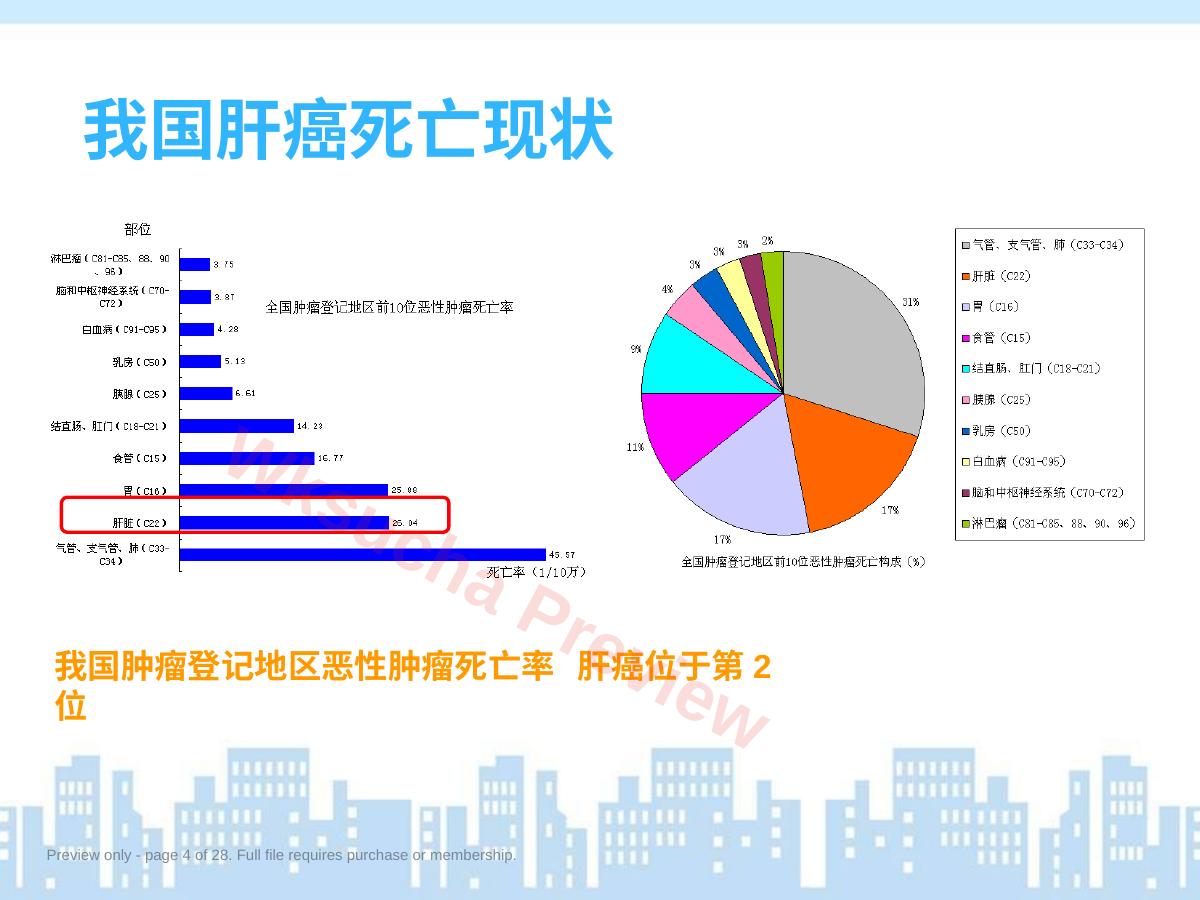 预览第 4 页