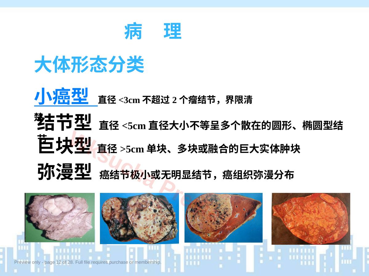 预览第 12 页