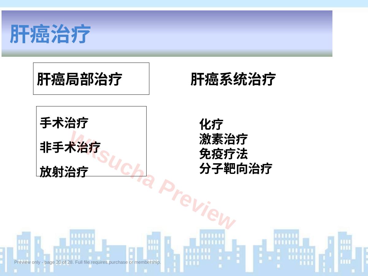 预览第 20 页
