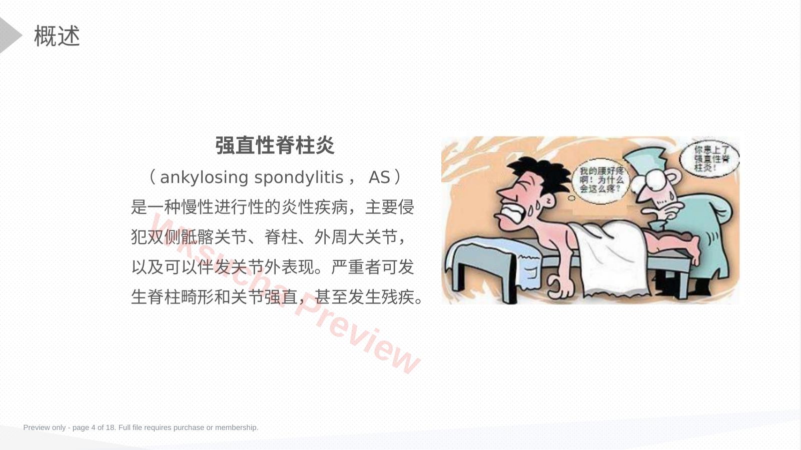 预览第 4 页