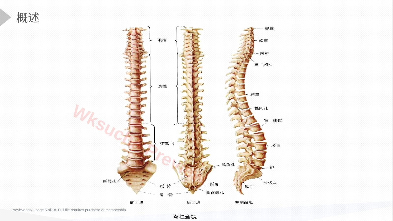 预览第 5 页